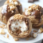 S'mores Protein Balls