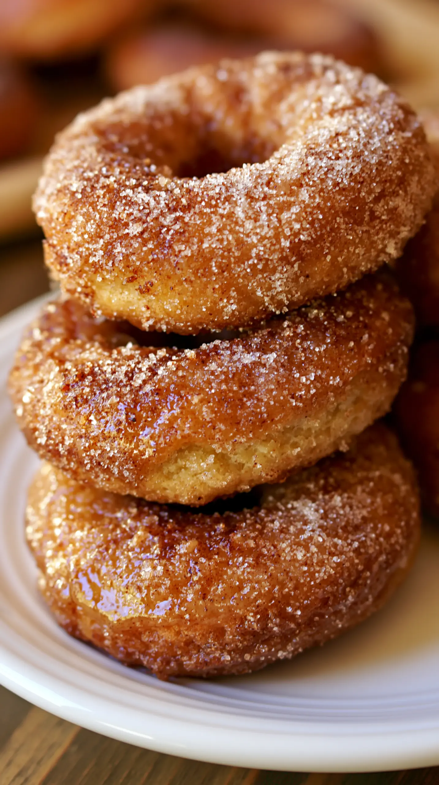Easy Old Fashion Baked Apple Cider Donuts Recipe Serving suggestion for Easy Old Fashion Baked Apple Cider Donuts Recipe — baked apple cider donuts